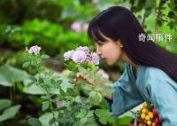 微念退出李子柒公司 雙方均保持沉默