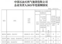 “三桶油”公布負(fù)責(zé)人薪酬 最高年薪92萬 