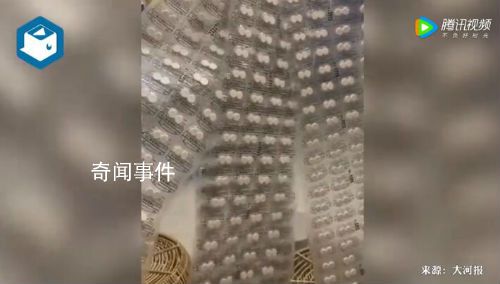網(wǎng)友囤1000片退燒藥全砸手里了 陽之前買的陽康之后很久年二十七八才到貨