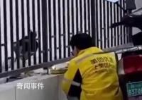 流調中“最勤勞”外賣員孩子將出生