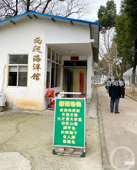 安徽一動物園被曝有九斤重大老鼠 現在沒有了老鼠去繁殖了