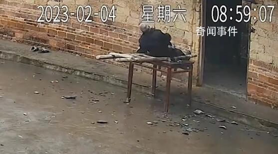 監控中看到老父從房頂摔下 兒子淚崩