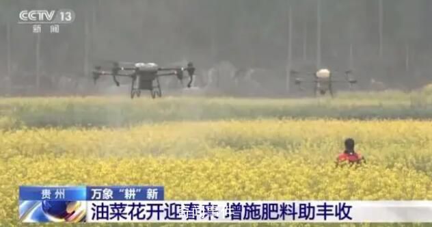 全國備春耕從南到北陸續展開萬 物復蘇種子發芽