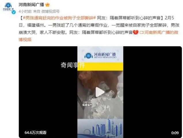 男孩通宵趕完作業(yè)被狗子撕碎 隔著屏幕都聽到心碎的聲音