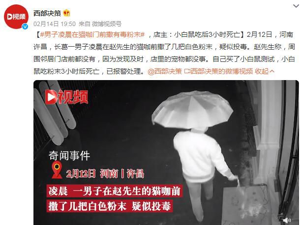 男子凌晨在貓咖門前投毒 已報警處理