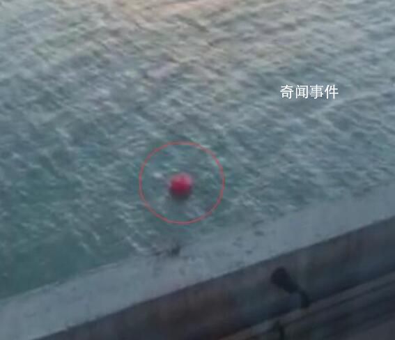 廈門地鐵回應列車被逼停在高架上 氣球飛進線網