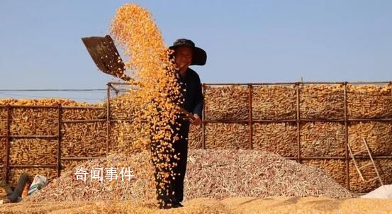 抓好糧食和重要農產品穩產保供 糧食產量連續8年穩定在1.3萬億斤以上