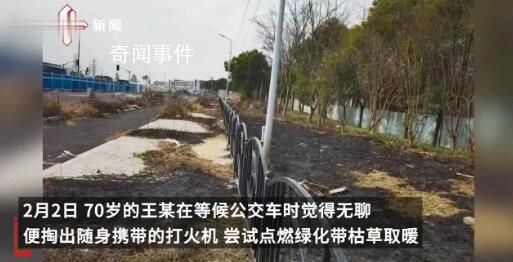 老人等公交無聊燒綠化帶 導(dǎo)致部分樹木燒損