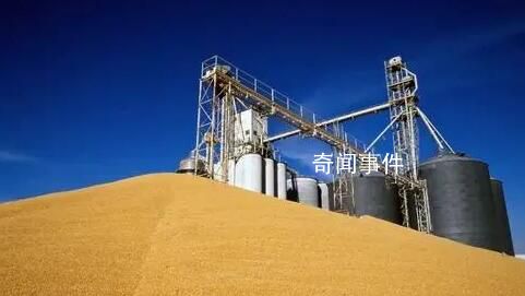 烏克蘭出口糧食近半被用來喂豬 大部分糧食最終流向了歐盟
