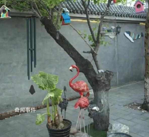 張頌文的農(nóng)家院 有一種回歸到了大自然的感覺