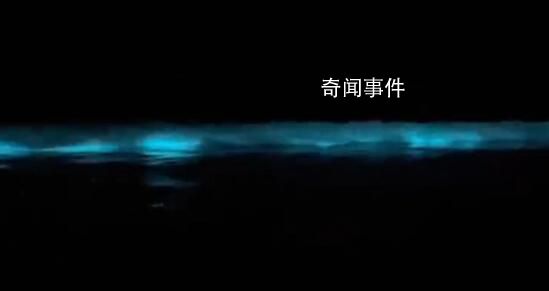 廣東海陵島海灘連日現(xiàn)“藍(lán)眼淚” 這是2023年海陵島的第一次