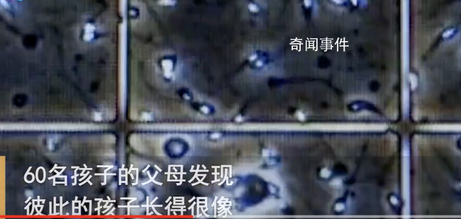 澳男子非法捐精致60個孩子模樣相似 用假名字四處登記