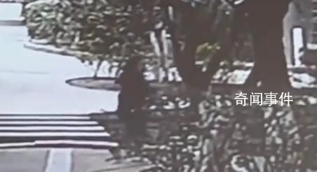 6歲女童被玩伴踹進(jìn)水池 至今沒等到父母的說