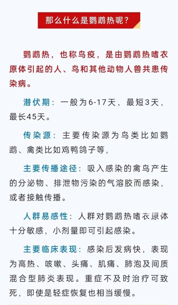 廣東一病例高燒不退潛伏45天 鸚鵡熱的臨床表現(xiàn)是什么