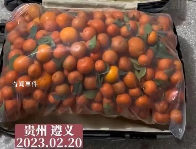 女生帶50斤砂糖橘返校結(jié)果全丟了 調(diào)監(jiān)控視頻調(diào)了三個小時都沒找到
