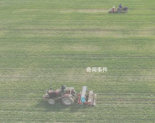 好種子“育出”新希望 田間地頭一片生機勃勃的景象