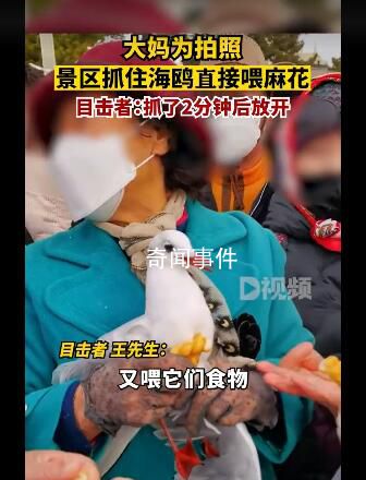 大媽為拍照景區抓住海鷗喂麻花 目擊者：抓了2分鐘后放開