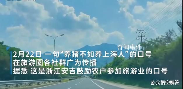 養豬不如養上海人!這話傳遍旅游圈
