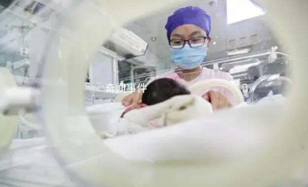 三孩家庭頻繁被問“家里有礦?”