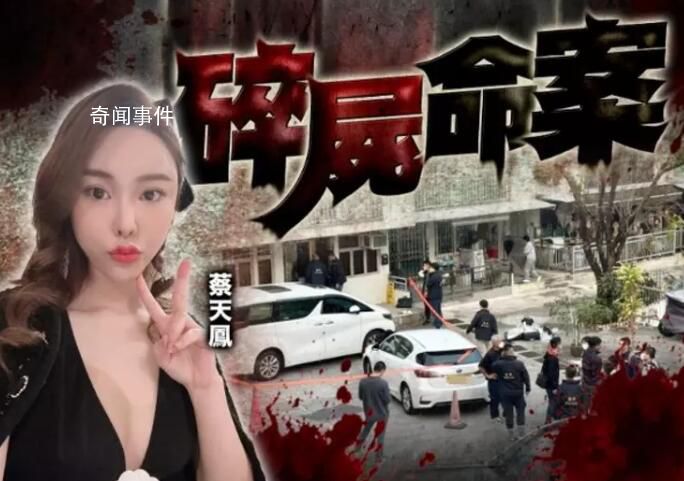 蔡天鳳前夫父母及哥哥3人被拘捕 案件細節梳理