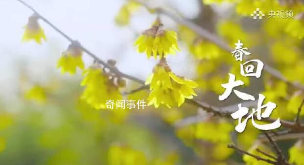 春日里的中國大地色彩斑斕 孕育五谷豐登又一年