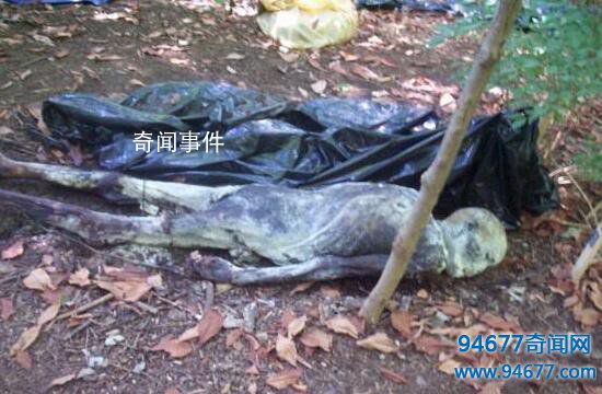 全球五大最驚悚的尸體農(nóng)場(chǎng) 尸體農(nóng)場(chǎng)恐怖照片