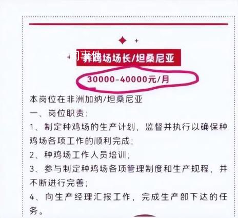 非洲養雞月薪4萬?在非養雞人揭秘 