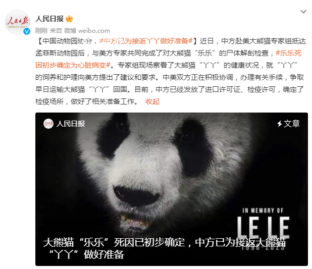 中方已為接返大熊貓丫丫做好準備 中美雙方正在積極協調辦理有關手續