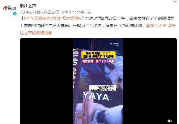 丫丫現身紐約時代廣場大屏幕 祝早日回到祖國懷抱
