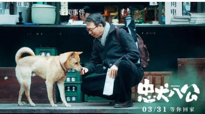 電影《忠犬八公》定檔 宣布定檔 3月31日全國上映