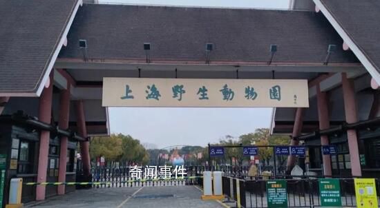 上海野生動物園多次抽查發現問題 這究竟是怎么回事