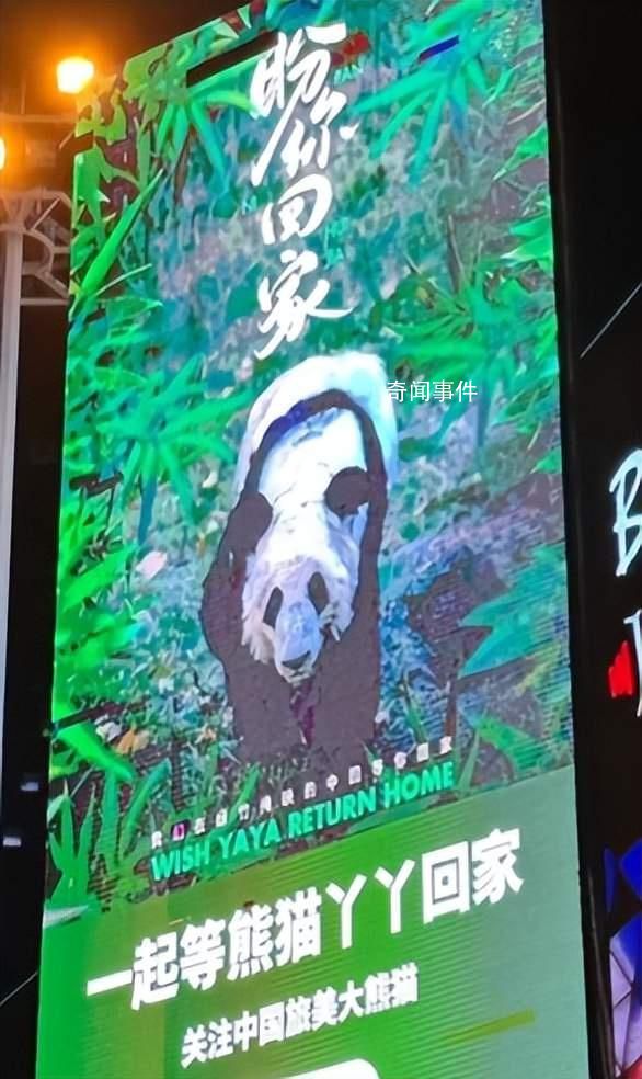 義烏一商場大屏現巨幅丫丫海報 期待丫丫平安歸來