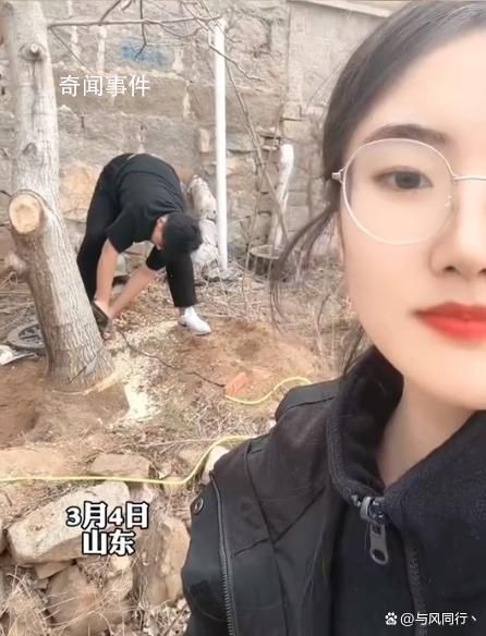女子算命核桃樹擋姻緣家人將樹砍掉 網(wǎng)友：如果明年還嫁不出去看你還能怪啥