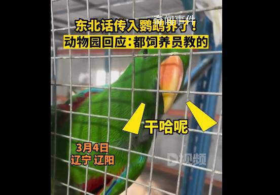 遼寧一動物園鸚鵡滿嘴東北味 吸引了不少游客