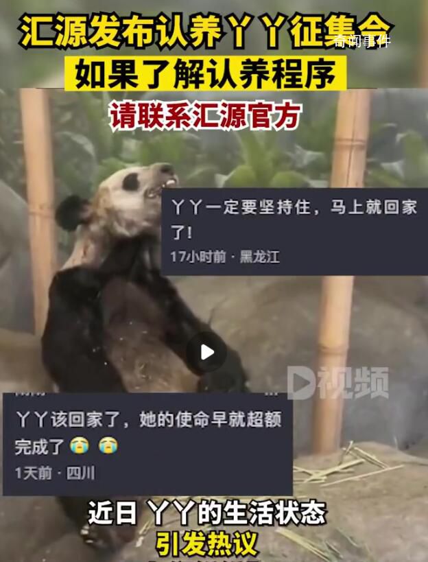 匯源發布認養丫丫征集令 如果了解認養或捐贈丫丫的相關程序請即刻聯系匯源官方