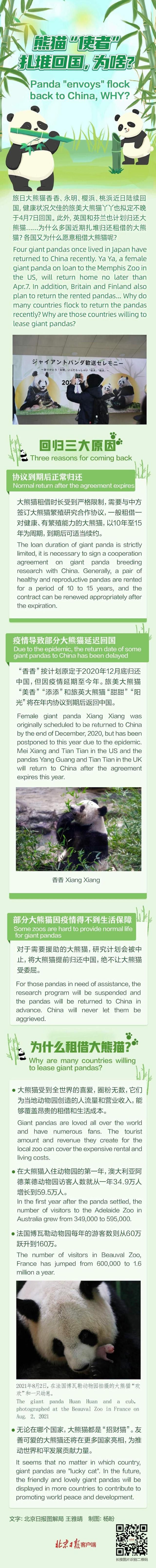 為啥熊貓使者近期扎堆回國(guó) 各國(guó)為什么愿意租借大熊貓