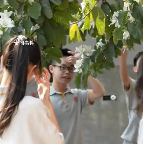 老師停課帶學(xué)生賞花 春有約花不誤