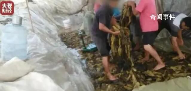 那些曾被315點(diǎn)過名的品牌怎么樣了 回顧過往的315