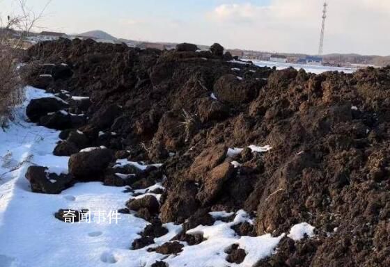 黑龍江再現黑土非法販賣 價格暴漲隱蔽性更強