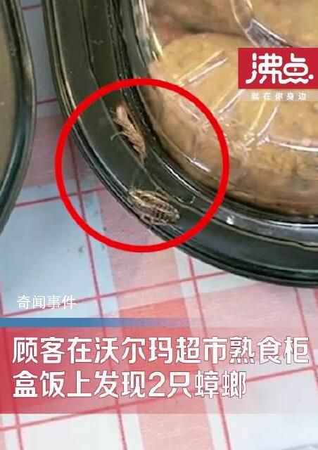 顧客曝沃爾瑪超市盒飯上蟑螂亂爬 網(wǎng)友：這種情況在超市普遍存在