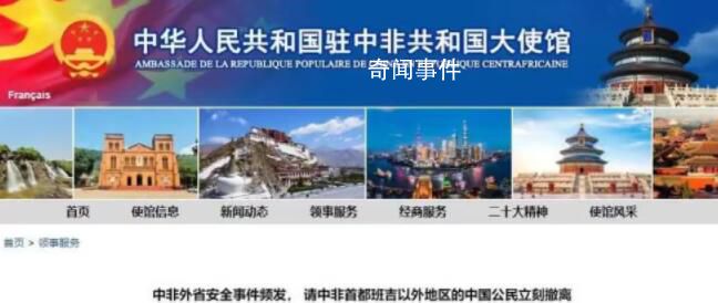 中國公民在中非遇襲9死2傷 中方回應(yīng)