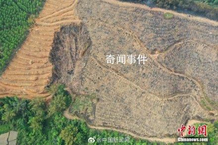 東航事故一年后航拍對比 山坳復綠重煥生機
