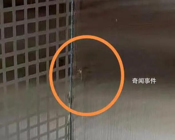 剛?cè)戮陀形米?專家解釋