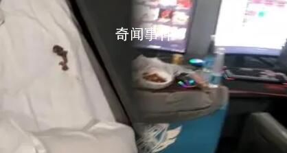 男子在電競酒店枕頭下發(fā)現(xiàn)一窩老鼠 酒店的解釋是可能是窗戶沒關(guān)好所致