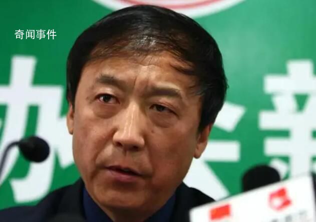 中國足球沒了“紀律” 中國足球問題到底在哪