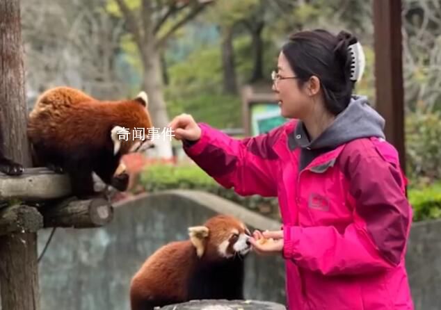95后設計師辭職當動物飼養員 動物治愈了我的精神內耗