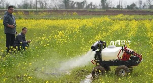 強(qiáng)科技端牢“中國(guó)飯碗” 機(jī)械化普及讓農(nóng)民解放了雙手
