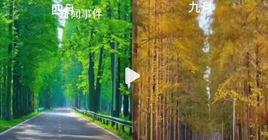 女子2年往返20多次記錄回家風景 四季輪回好比人生次數讓人羨慕