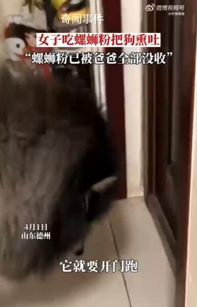女子吃螺螄粉把狗熏吐被沒收 爸爸得知后沒收了全部的螺螄粉