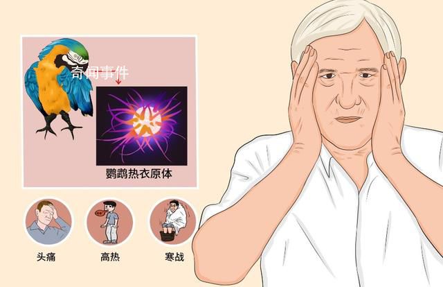 多地出現(xiàn)鸚鵡熱患者 專家發(fā)聲